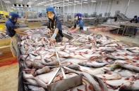 Số phận buồn của những cổ phiếu thủy sản ngược dòng