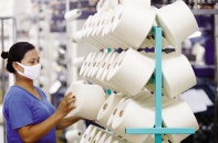 Phục hồi nền kinh tế: Các lựa chọn chính sách nào cho Việt Nam? (Bài 1)