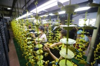 Việt Nam vẫn là điểm đến an toàn của dòng vốn FDI