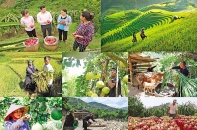 Công cụ hữu hiệu thực thi các chính sách tín dụng khẩn cấp