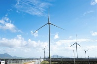 Hàng loạt dự án điện gió trước nguy cơ tuột ưu đãi giá FIT