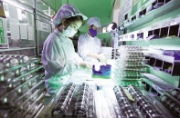 Phục hồi nền kinh tế: Các lựa chọn chính sách nào cho Việt Nam? (Bài 5)