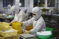 Doanh nghiệp cần hỗ trợ nóng