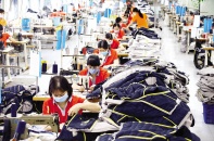 Nhu cầu cấp bách là hỗ trợ lao động và dòng tiền