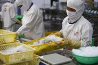 Kích hoạt các động lực tăng trưởng: Hỗ trợ thế nào, bao nhiêu là đủ?