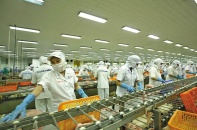 Doanh nghiệp lo tuột thời cơ “ngàn năm có một”