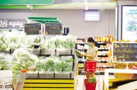 “Đường đua” FDI sôi động trở lại