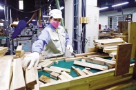 Bức tranh kinh tế chuyển dần sang gam màu sáng