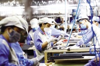 Nền kinh tế trông vào cầu nội địa