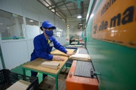 Chương trình phục hồi và phát triển kinh tế: Câu hỏi về dư địa thời gian