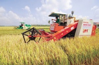 Việt Nam 2022: Cỗ xe kinh tế bắt đầu hành trình phục hồi