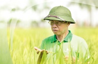 “Chất thép” của doanh nhân Anh hùng Trần Mạnh Báo