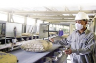 Chương trình Phục hồi và Phát triển kinh tế - xã hội 2022-2023: Nhìn vào cơ hội phục hồi để xây dựng chính sách