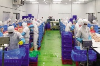 Gói hỗ trợ và trách nhiệm của chính sách tiền tệ