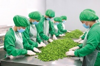 Đường đến Mỹ của Dh Foods