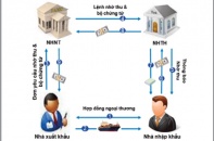 Doanh nghiệp bị lừa, ngân hàng thu hộ vô can?