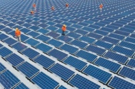 Nhà đầu tư điện mặt trời không muốn mất cơ hội