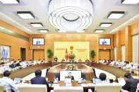 Sửa Luật Dầu khí: Cấp bách nhưng không thể sơ sài, mờ nhạt