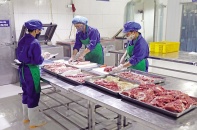 Một đồng hỗ trợ đến sớm, nền kinh tế hồi phục sớm