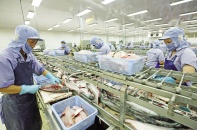 Doanh nghiệp xuất khẩu thắng nhiều vụ kiện phòng vệ thương mại