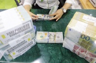 Tiền đồng có chịu áp lực giảm giá?