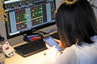 Vẫn còn cơ hội với “cổ đất” sau giai đoạn tăng sốc, giảm sâu