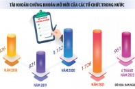 Lỗ đầu tư chứng khoán kéo lùi lợi nhuận nhiều tổ chức