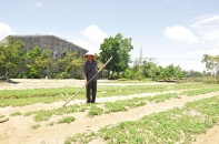 Mắc kẹt tại dự án của Công ty TNHH Chí Thành