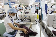 Tận dụng mọi cơ hội để phục hồi kinh tế