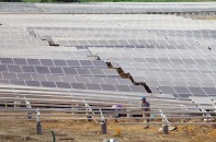 Điện mặt trời phấp phỏng chờ phán quyết