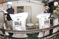 Hai nhà máy đạm mong được xóa “nợ con, nợ cháu”