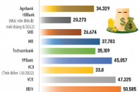 Bão cổ phiếu “vua” đổ bộ sàn chứng khoán: Cơ hội nào cho nhà đầu tư? 