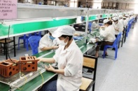 Doanh nghiệp đang rất xót ruột và sốt ruột