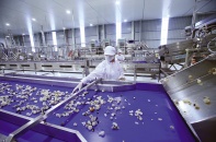 Vận hội mới của vùng đất “phên giậu”