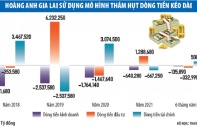 Hoàng Anh Gia Lai: Nợ lớn, vẫn liên tục bảo lãnh vay vốn cho công ty con