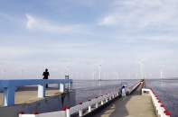 Dự án năng lượng tái tạo rơi vào bế tắc