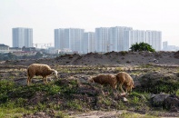 Đất đai cho nhà ở thương mại cần lời giải thuyết phục