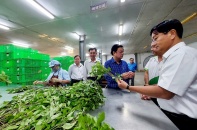 Bộ trưởng Bộ Nông nghiệp và Phát triển Nông thôn thăm nông trường WinEco Củ Chi