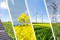 Việt Nam và Bỉ nỗ lực tận dụng tốt cơ hội từ EVFTA