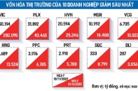 Chứng khoán rơi sâu, ông lớn thả câu gom cổ phiếu
