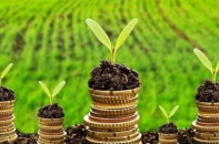 Hút vốn xanh vào tái cơ cấu doanh nghiệp nhà nước