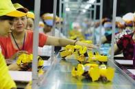 Doanh nghiệp Ấn Độ “đổ bộ” tìm cơ hội đầu tư tại Đông Nam bộ