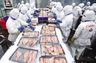 Động lực tăng trưởng kinh tế nhìn từ điều kiện cần và đủ