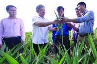 Tín dụng chính sách: Trụ cột phát huy tiềm lực thanh niên