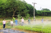 Tín dụng chính sách tiếp sức cho Tân Kỳ xây dựng nông thôn mới