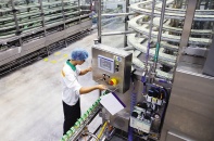 Vốn FDI hướng nhiều hơn vào tăng trưởng xanh