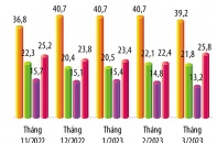 “Táo khuyết” đã chín tại Việt Nam