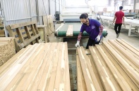 Môi trường kinh doanh đang phụ thuộc vào chất lượng thực thi