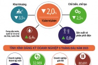 Điểm sáng trong bức tranh kinh tế xám màu