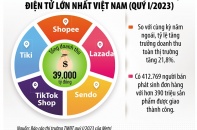 Rào cản níu chân thương mại điện tử xuyên biên giới